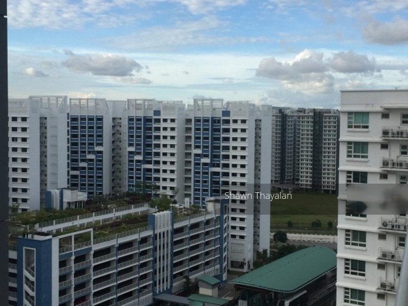 Blk 268A Punggol Field (Punggol), HDB 5 Rooms #137836452
